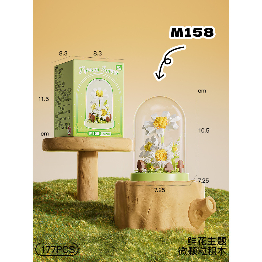 m158 Asano Daisy (avec couvercle transparent)