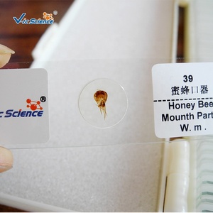 Động vật học mô học kính hiển vi kính hiển vi Slide cho trường học & Bệnh Viện Sử dụng cấu trúc rõ ràng và tính năng hoàn chỉnh - Product Image 1