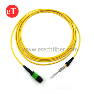 データセンター12コア8C光ファイバーアレイMT-FA GMPO-FAケーブルオスメスコネクタ24コア6コアMPOパッチコード - Product Image 1