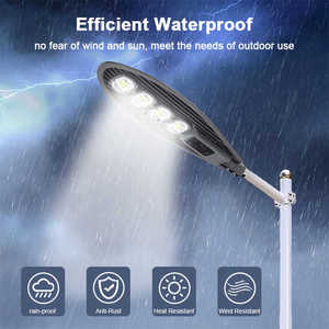 30W 50W 100W 150W 200W đèn cảm ứng sàn đường phố đèn đường ngoài trời đèn đường chiếu sáng IP67 Đèn LED chống nước - Product Image 2