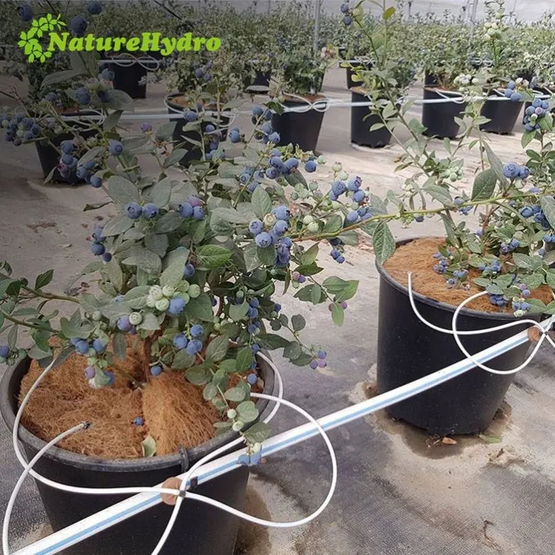Durable 25 Liter 30 liter plastic big plant pot for blueberries with many drainage holes