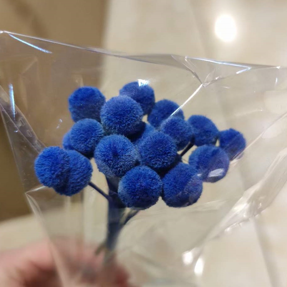 Bleu royal