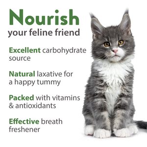 Home Grown Cat Grass and <strong>Catnip</strong> Alfalfa Oat Zippered Packet Pet Food for Agriculture Fertilizer Feed Flour <strong>Use</strong> - Product Image 6