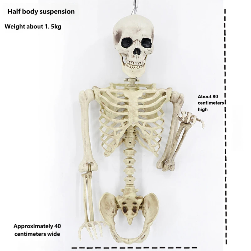 Half-body hanging skull