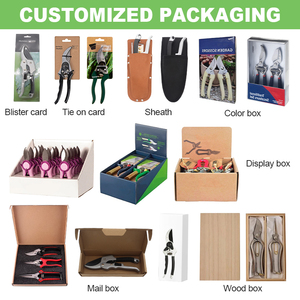 Zonneschijn Tuin Trimmen Planten Bonsai Snoeischaar Duurzaam Met Behulp Van Schaarsnijsnoeier Best Verkopende Snoeischaar - Product Image 5