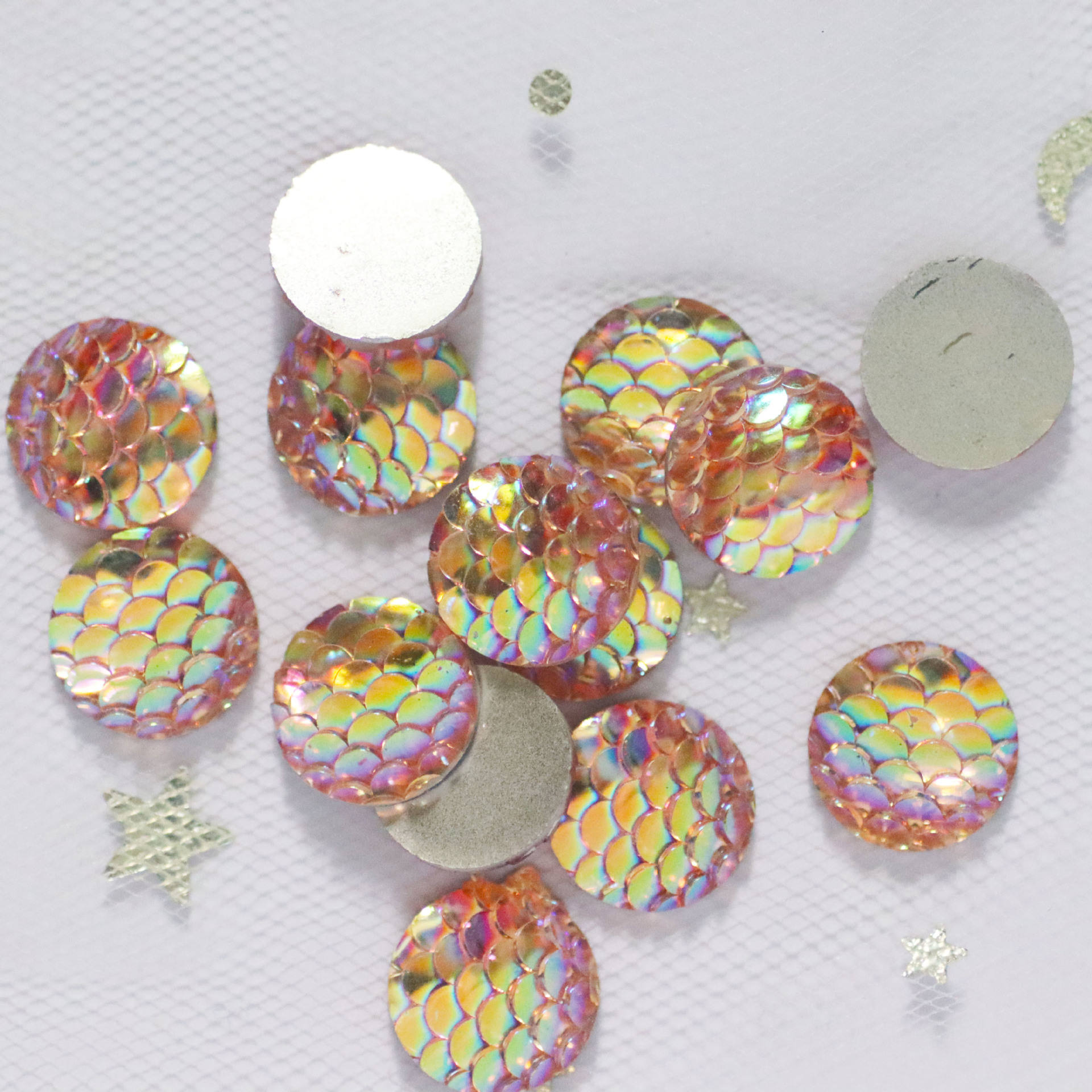 Poudre de viande -03