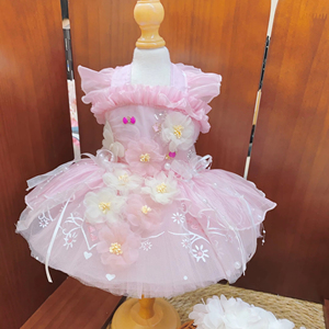 Pet sevimli pembe tomurcuk prenses elbise - Product Image 1