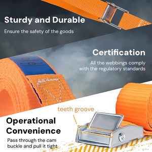 Ratchet <span class=keywords><strong>Tie</strong></span> xuống dây đeo lashing dây đai 25 mm x 4 m 250kg lashing Dây đai với kẹp khóa cho xe đạp, xe đẩy, hành lý - Product Image 5