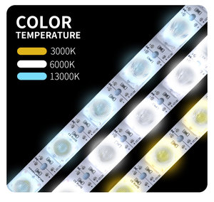 LEDモジュール12vエッジライトダブルライトボックス中国工場価格LEDモジュール中国から - Product Image 3