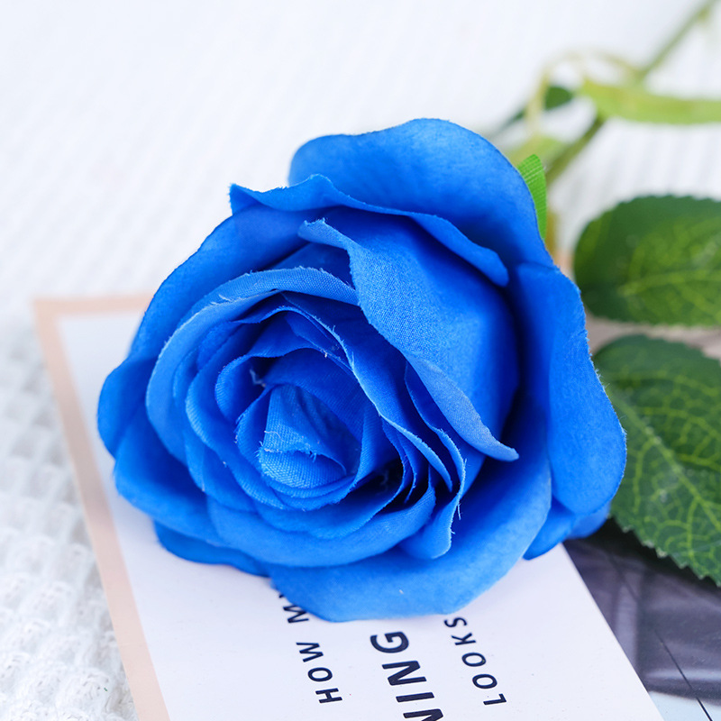 Rose soleil unique-bleu foncé