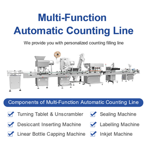 Finalwe High-Efficiency Automatic Capping <strong>System</strong> Tablet Filling <strong>Counting</strong> <strong>Machine</strong> - Product Image 2