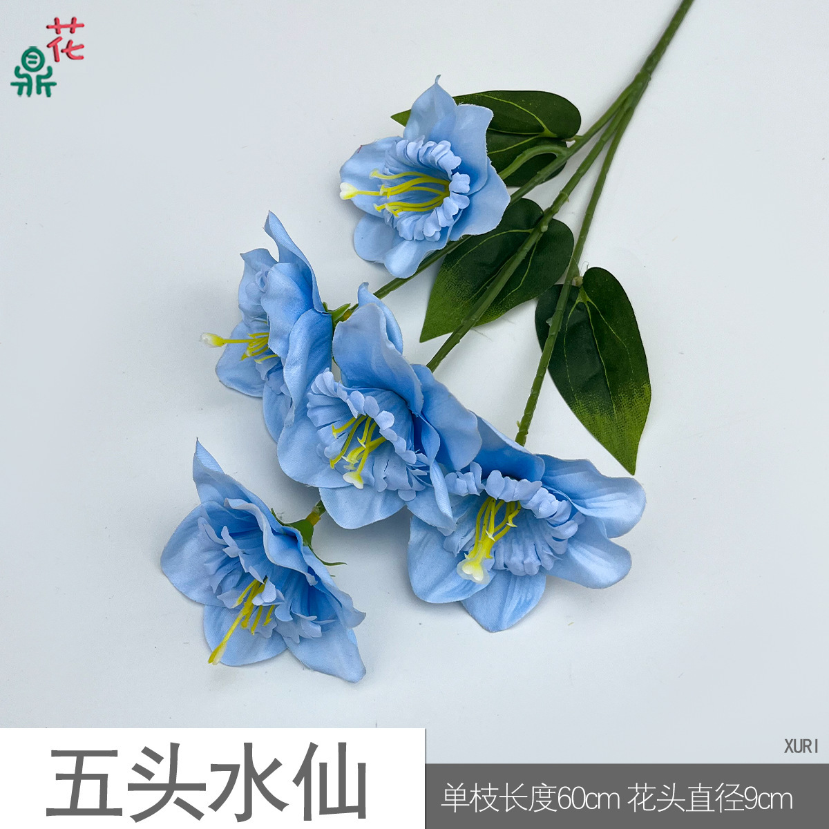 Narcisse XURI Bleu à cinq têtes