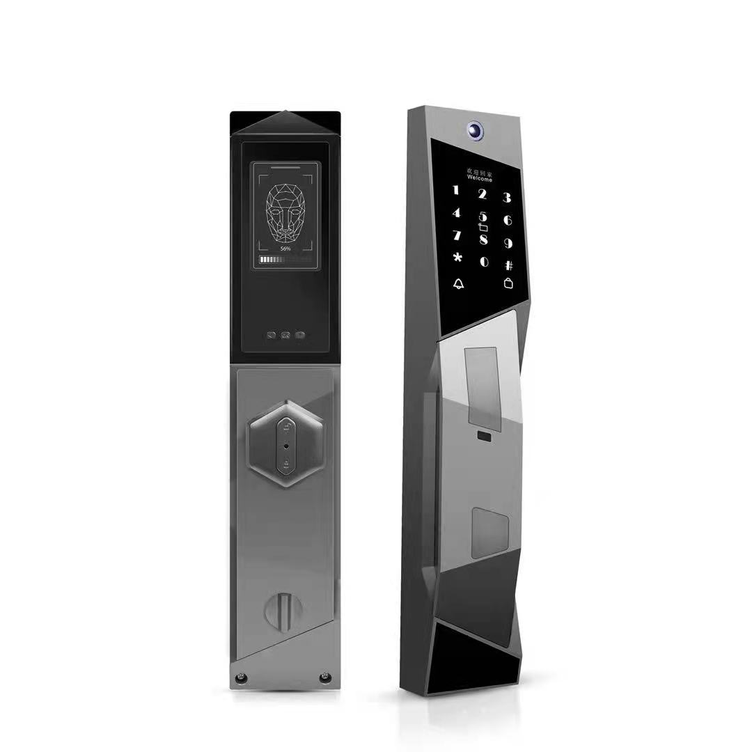 Competitive Price Qleung S923 Intelligent USmart GO Wifi APP Lock Password Card Biometric Fingerprint Smart Lock Door