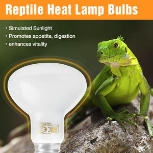 75W 100W 150W 250W kızılötesi terapi lambası tavuk domuz kanatlı sürüngen Amphibian ısıtma lambası Spot ışık