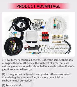 CNG/LPG Autogas komplettes Kit für sequentielle Einspritz systeme 4/6/8 Zylinder mit zwei Kraftstoffen