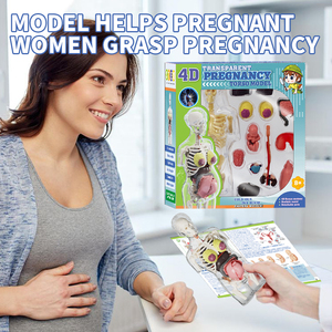 Newest Pergnancy Torso Model <strong>Human</strong> Body Anatomical Model 4D Transparent Female <strong>Human</strong> Science Teaching Kit.