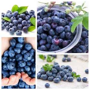 <strong>Automation</strong> Sort by Size Fruit Blueberry Grading <strong>Machine</strong> Fruit <strong>Sorting</strong> <strong>Machine</strong> - Product Image 4