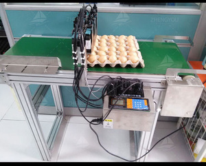 Industrie Eier druckmaschine Datums codier maschine Eier drucker Eier codier maschine - Product Image 6