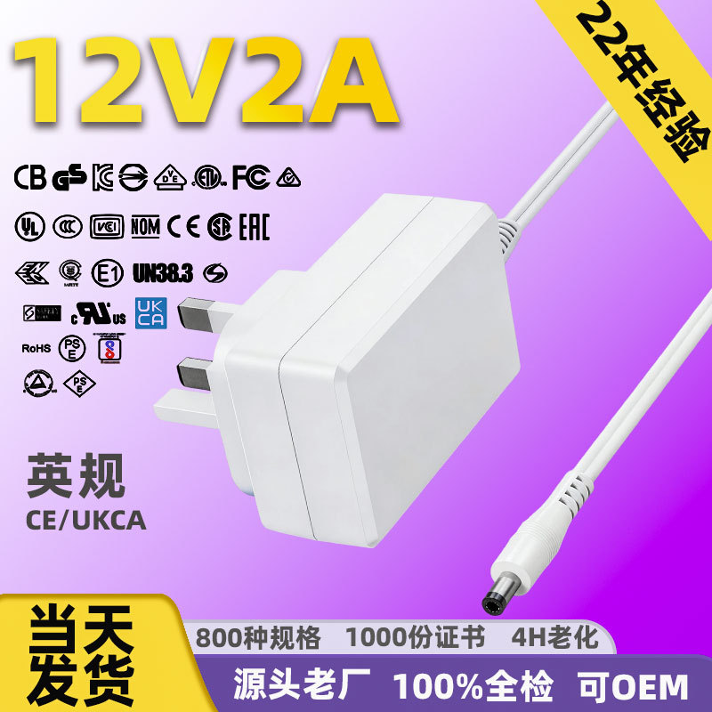 12V2A UKCA Blanc En stock