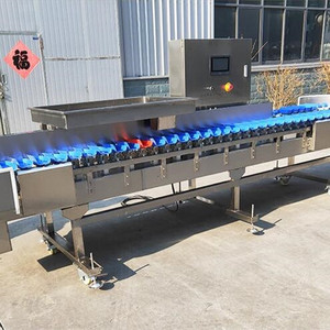 Stainless Steel 304 Shellfish <strong>Sorting</strong> Grading <strong>Machine</strong> Oyster Seafood Weight <strong>Sorting</strong> Grading <strong>Machine</strong> - Product Image 3