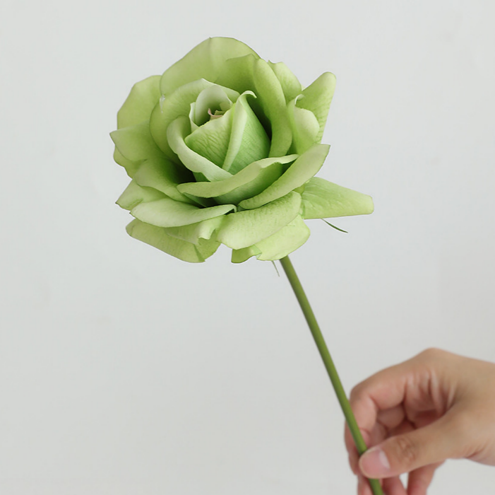 สีเขียว