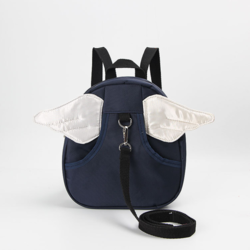 Ailes blanches 1