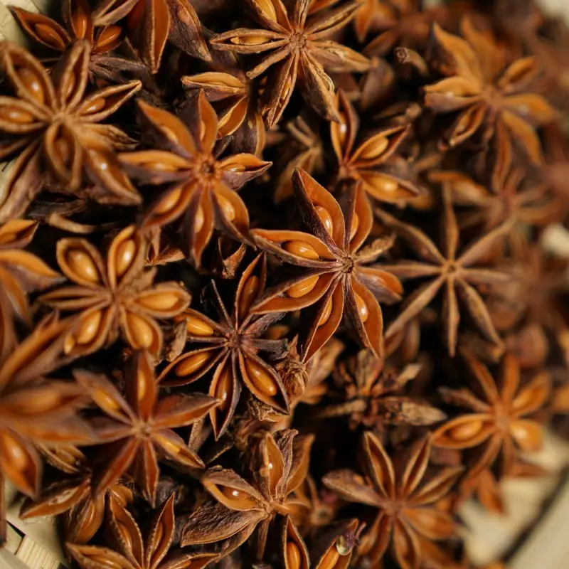 Wholesale Factory Price Single Spices Autumn Star Anise For Cooking