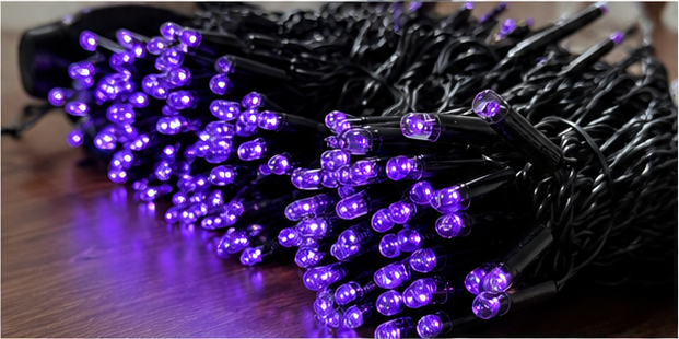 Pourpre