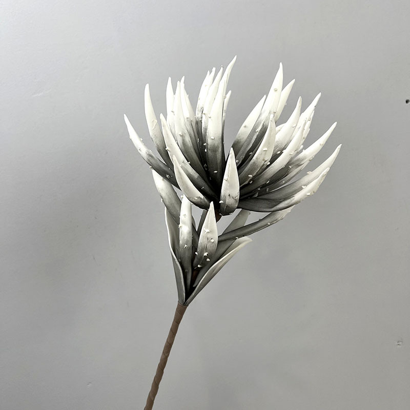 Chiba aloe gris