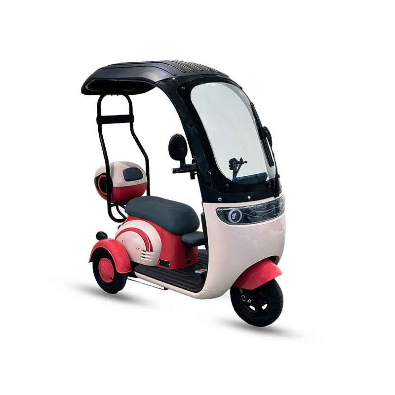 3 Bánh Xe Xe Đạp Hàng Hóa Với Động Cơ Chu Kỳ Cabin Đóng Khuyết tật Khuyết tật Xe Máy 3-Bánh Xe Scooter Mái OEM E Điện Ba Bánh