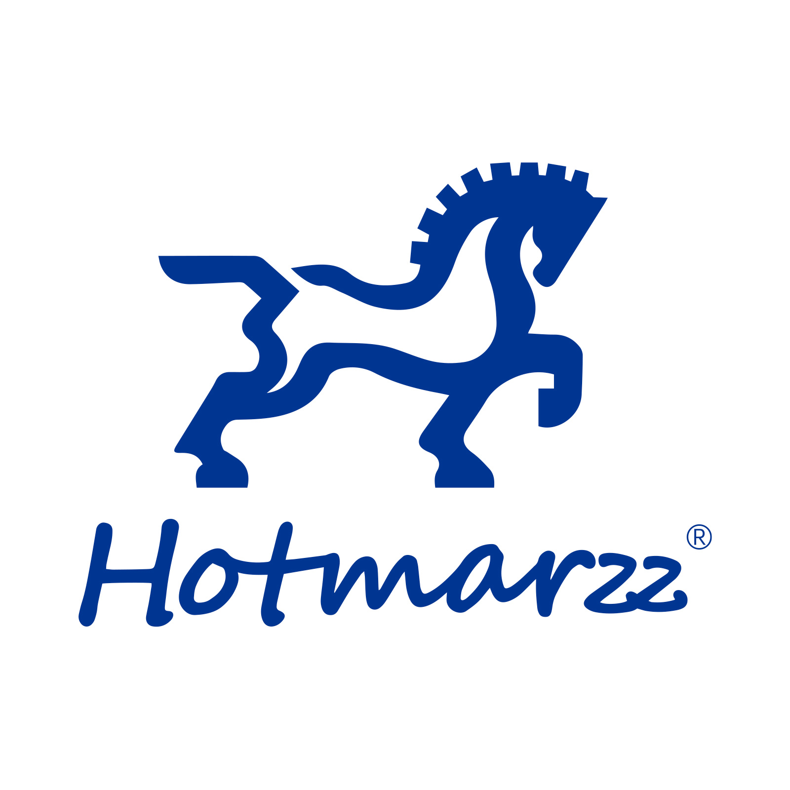 company logo