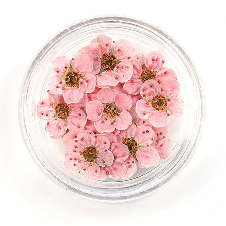 Pink 100pcs/box