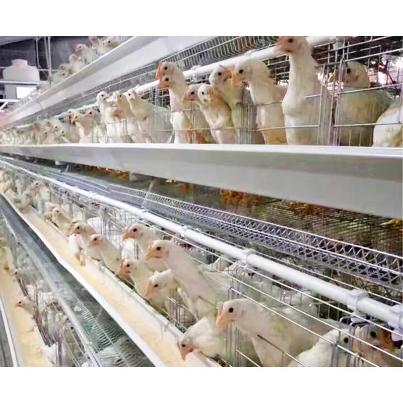 Fabrika ihracatçısı A tipi 10000 katmanlı tavuk çiftlik tavuk yumurtlama kafesi kuş katmanlı kafes pil kafes satılık