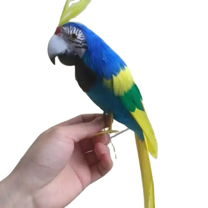 Modelo de papagaio azul e amarelo bonito da vida real, isca de caça, espuma e penas de calopsita, isca para pássaros, presente de 30 cm