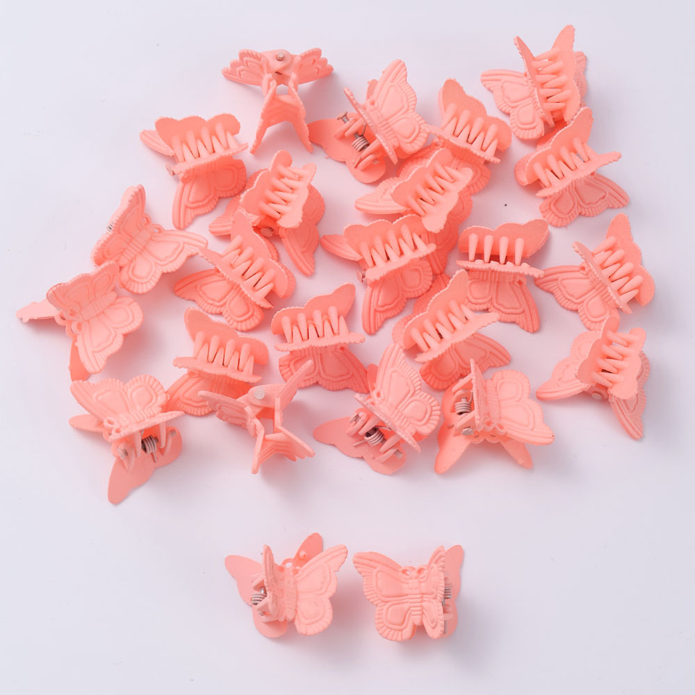 Rosa coral