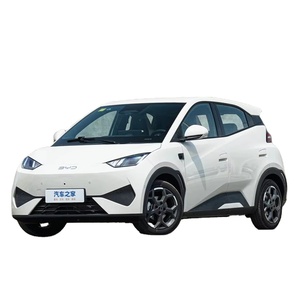 <span class=keywords><strong>2025</strong></span> EV Seagull martı özgürlük sürümü 305km 405KM yeni enerji araç 4 koltuklar ucuz elektrikli otomobil Stock martı stokta