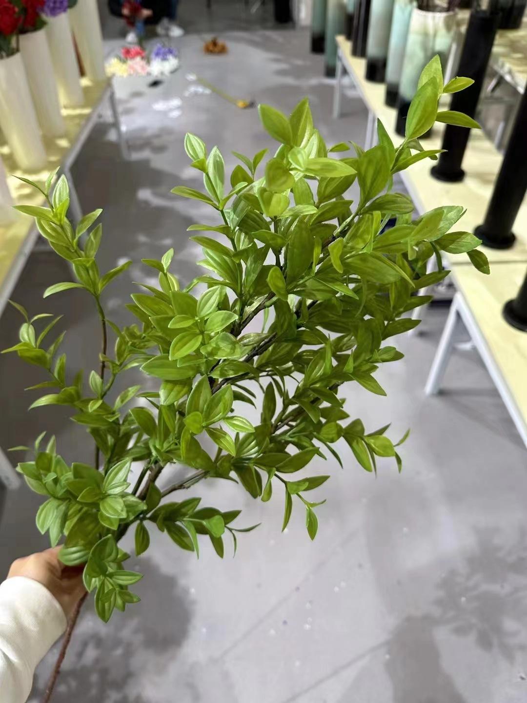 ใบมิ้นท์สีเขียว