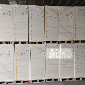 Kağıt bardak hammadde kağıt bardak tek Pe kaplamalı kağıt fincan levha - Product Image 3