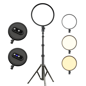 Hot bán 13 "nhiếp ảnh Bảng điều chỉnh ánh sáng với màn hình hiển thị ba màu sắc xách tay LED Bảng điều chỉnh ánh sáng với đứng cho dòng sống - Product Image 1