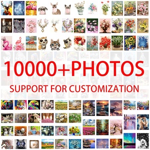 Custom <strong>20x20</strong> Diy Art Painting by Numbers Set on Canvas with <strong>Frame</strong> for Kids - Product Image 6