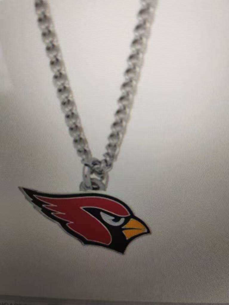 Arizona Cardinals1
