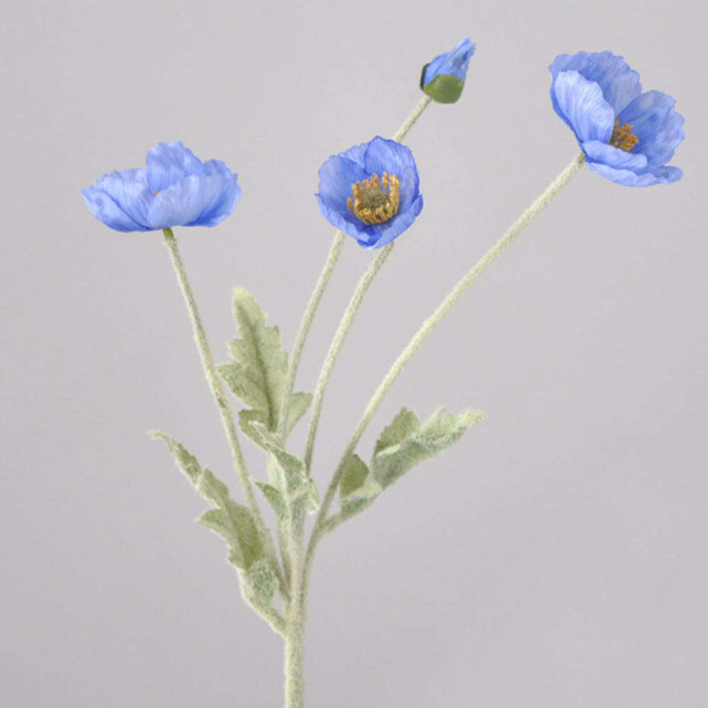 Azul