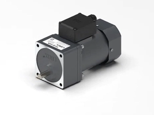 Neues Design Wechselstrom motor Drehzahl regler Niedrige Drehzahl Wechselstrom motor mit hohem Drehmoment Wechselstrom-Servos pindel motor und Antrieb