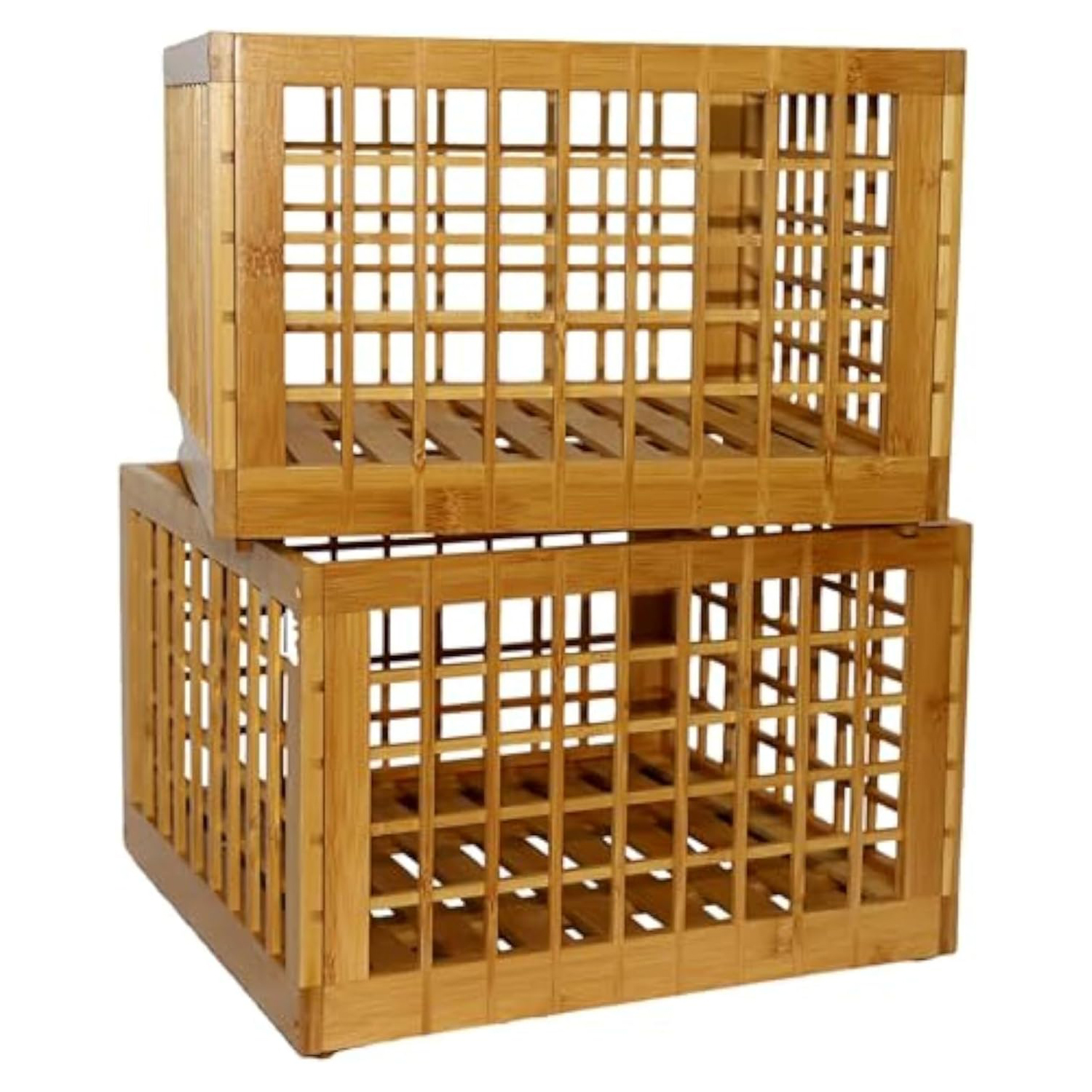 Bamboo