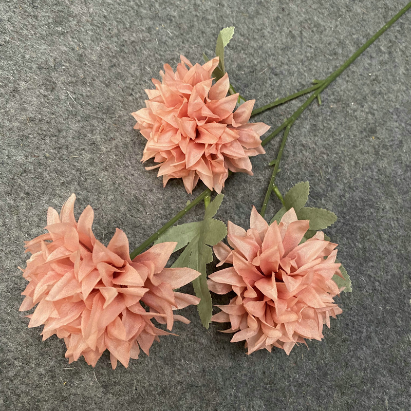 Rose nu