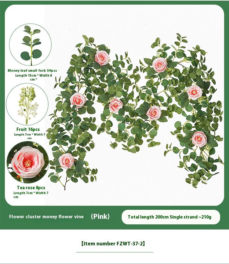 Flower cluster money flower vine