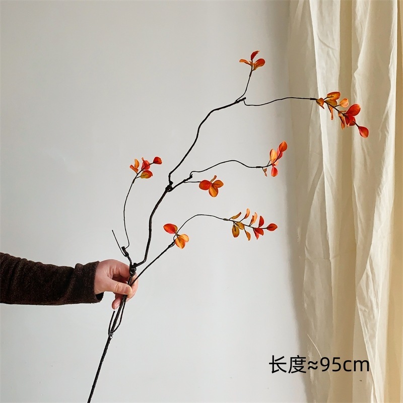 Longues branches et feuilles d'automne