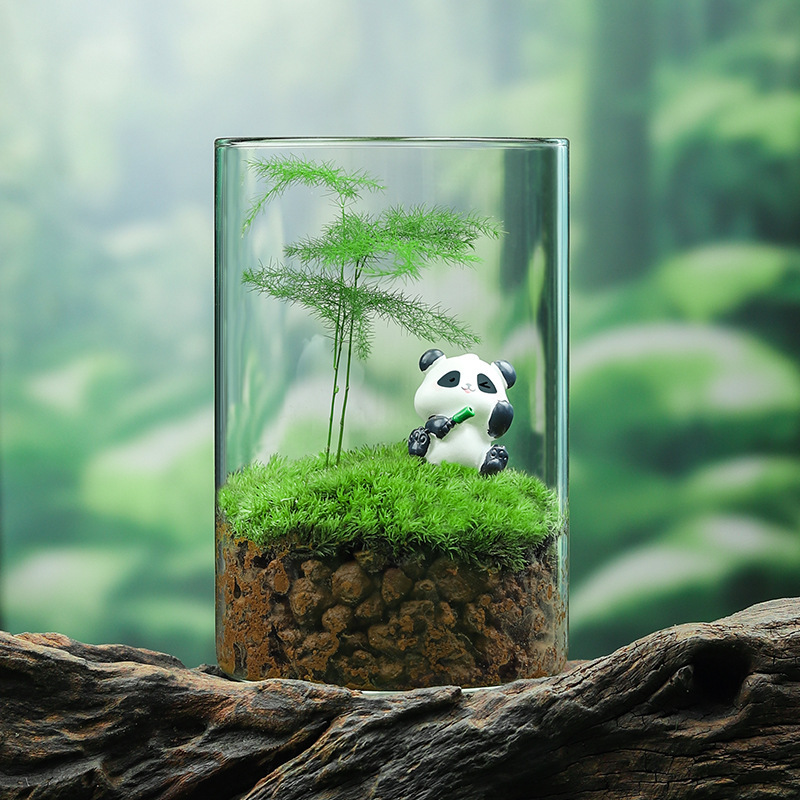 Musgo + Helecho de Espárrago + Peluche de Panda + Tierra Roja