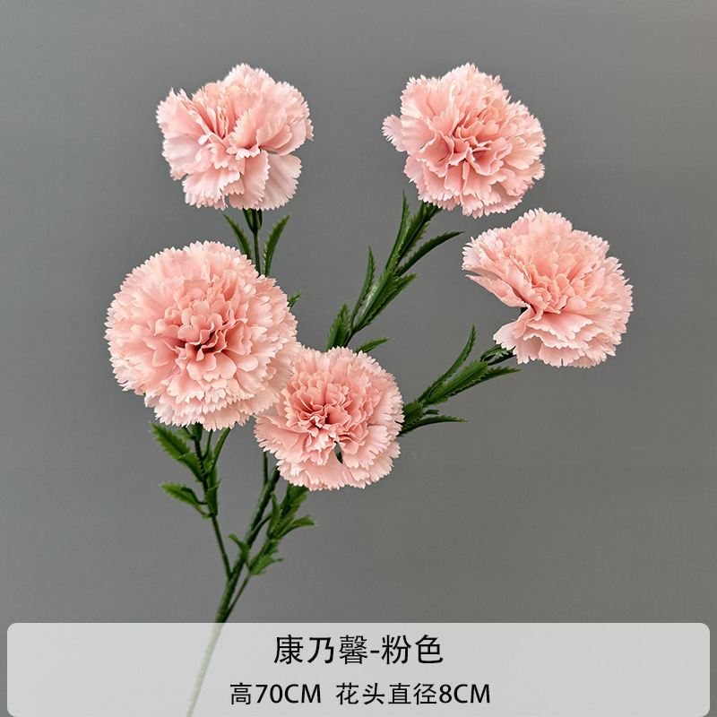 Oeillet - Rose