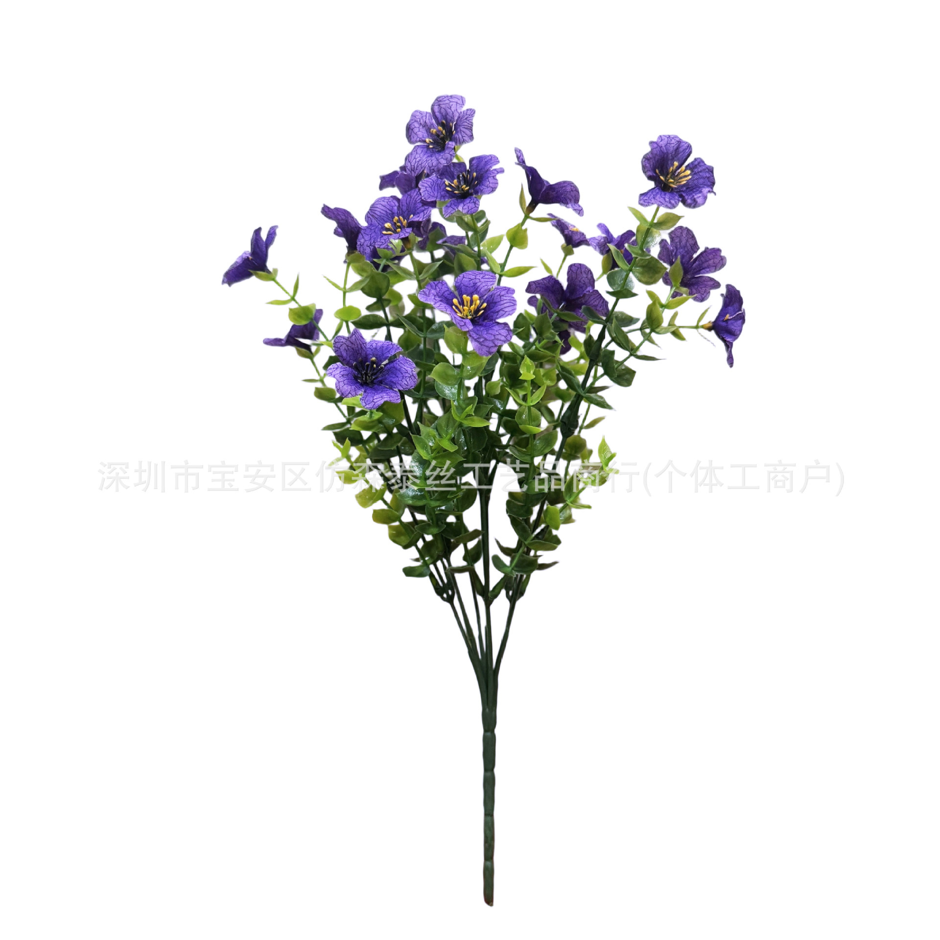 Eucalyptus violet à 7 fourches (violet)